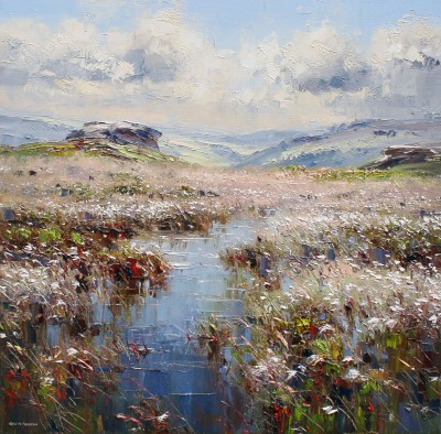 REX PRESTON - moorland pool, curbar edge, derbyshire