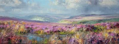 REX PRESTON - september sunlight, beeley moor 