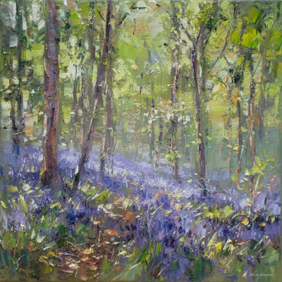 REX PRESTON - bluebells, bramley woods