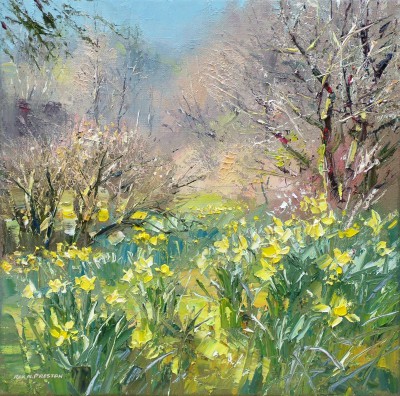REX PRESTON - woodland daffodils, lake district