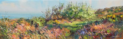 REX PRESTON - morning light, trevalgan hill, near st. ives