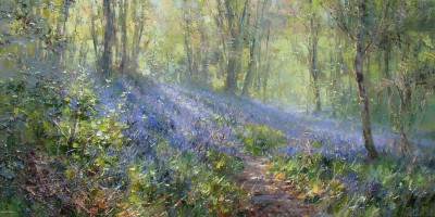 REX PRESTON - bluebell wood