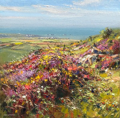REX PRESTON - longships lighthouse from carn brae