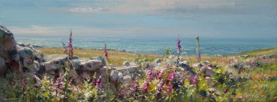 REX PRESTON - summer flowers, near pendeen, cornwall