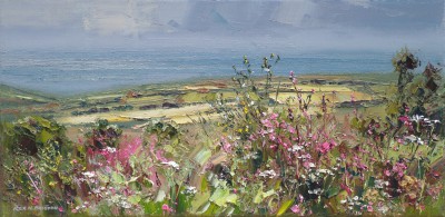 REX PRESTON - summer flowers and sunlit fields, cornwall