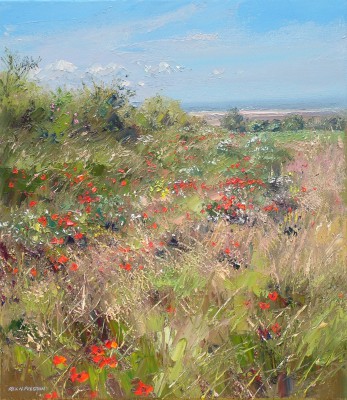 REX PRESTON - wild summer flowers, thornham, norfolk
