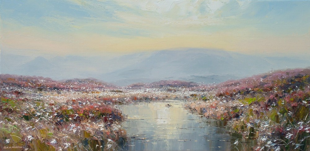 Rex Preston - evening light, derwent moor