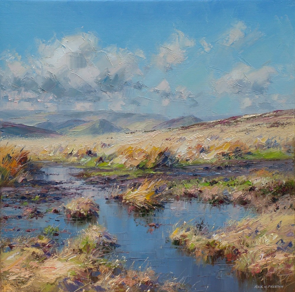 Rex Preston - february sunlight, white edge moor