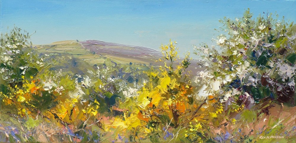 Rex Preston - broom and mayblossom, eyam moor