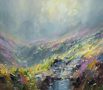 REX PRESTON - reflected sunlight, fairbrook valley
