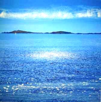 British Print Artist RICHARD PEARCE - Samson II