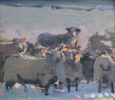 Richard Pikesley - Christmas Day Sheep