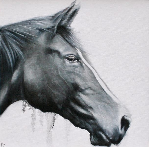 Robina Yasmin - horse study