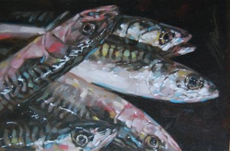 Mackerel
