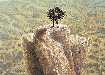 SIMON GARDEN - harvest