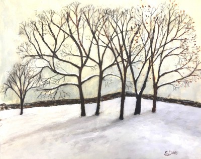 STEPHANIE DEES - winter trees