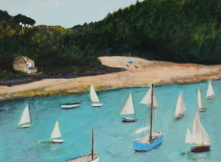 Boats at Salcombe