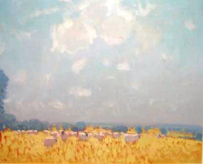 STEPHEN BROWN RBA - cotswold summer