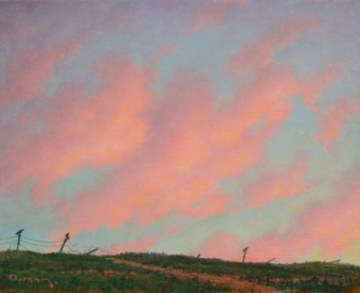 STEVEN OUTRAM - about to fly