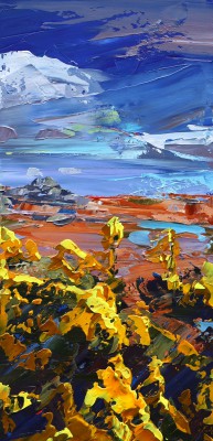 TIM FUDGE - first gorse, carn ffoi