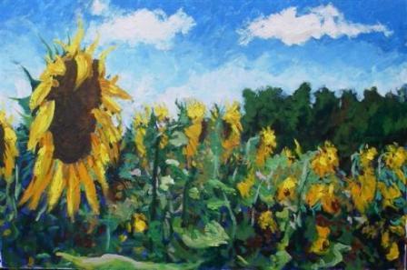 Timmy Mallett - sunflowers in france