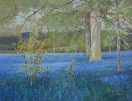 Tom Wanless - A Carpet of Bluebells