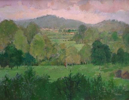 TOM WANLESS - a green and pleasant land
