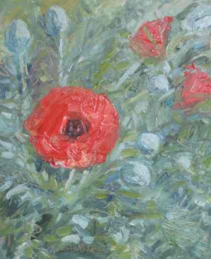 Garden Poppies