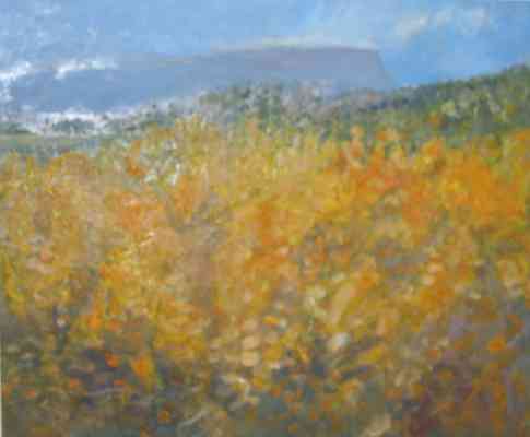 Gorse under Benbulben