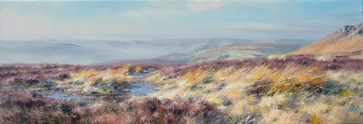 REX PRESTON - sunlit grasses, stanage edge