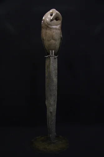 Barn Owl on Short Post (Edition 6/12)