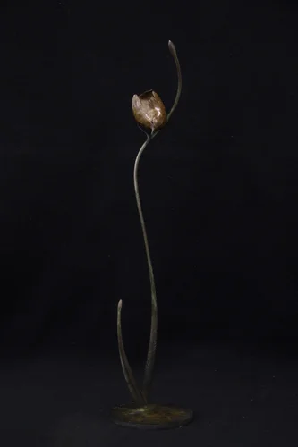 Wren (Edition 3/24)