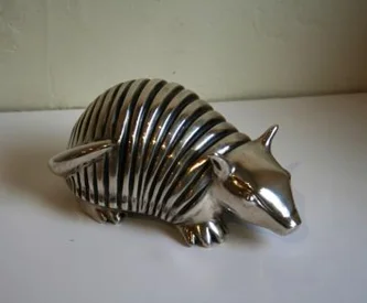 Baby Armadillo
