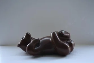 Bear Cub Rolling