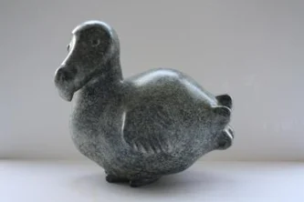 Dodo