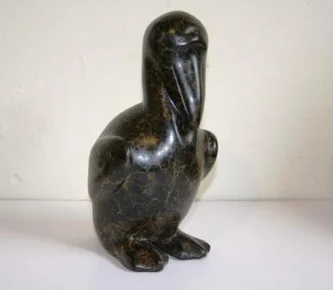 Pelican Chick