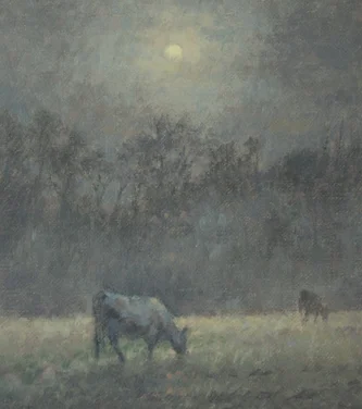 Black Cows at Night