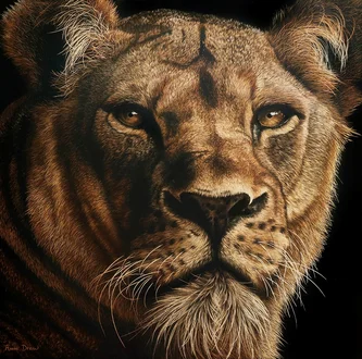 Lioness