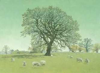 Spring