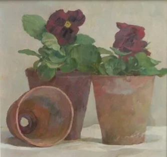 Deep Red Pansies