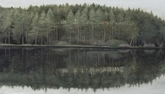 Scottish Artist DONALD PROVAN - Uath Lochan Reflections