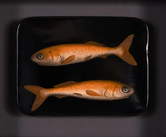 Scottish Artist DONALD PROVAN - Double Gold on Black