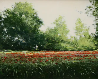 Poppy Field Norfolk