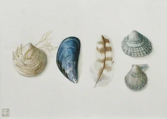 Sea Quintet