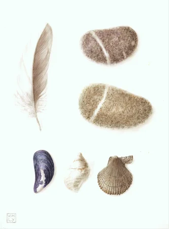Tideline