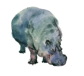 Hippo
