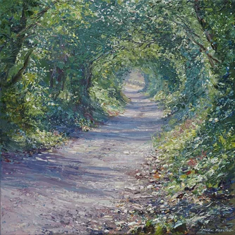 Tree Tunnel, Ashleyhay