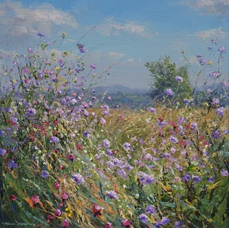 Butterflies and Meadow Flowers, Bonsall Moor