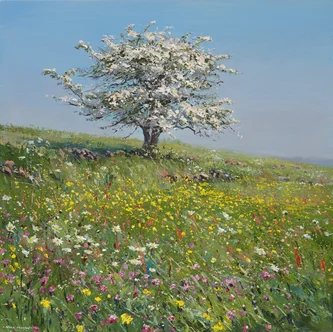Meadow Flowers and Mayblossom, Hollinsclough