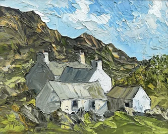 Cottages Carn Llidi
